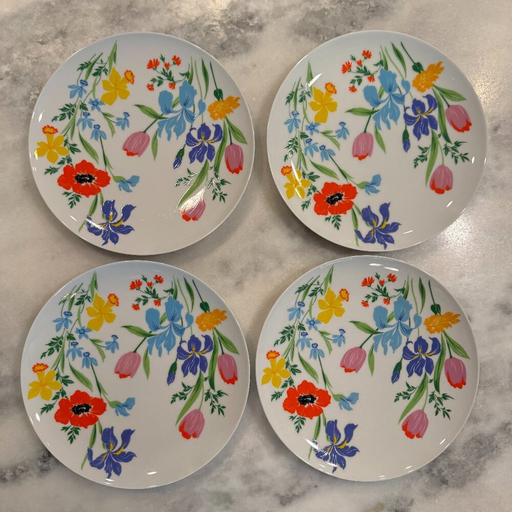 Set of 4 9 1/2" dinner plates - Heinrich Germany Primavera